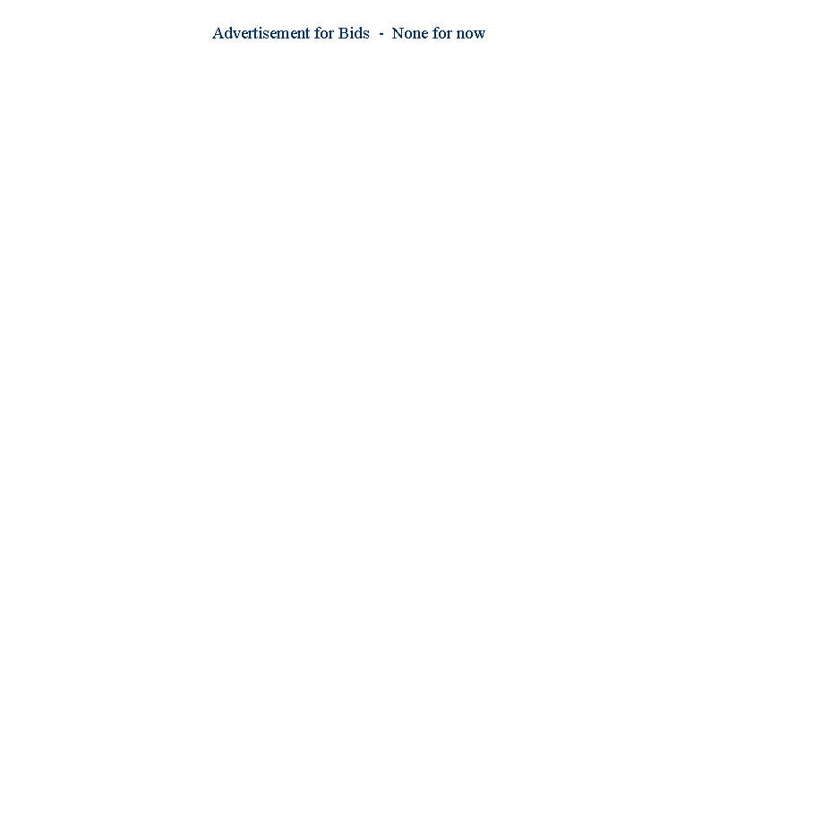 Text Box:                                                           Advertisement for Bids  -  None for now
